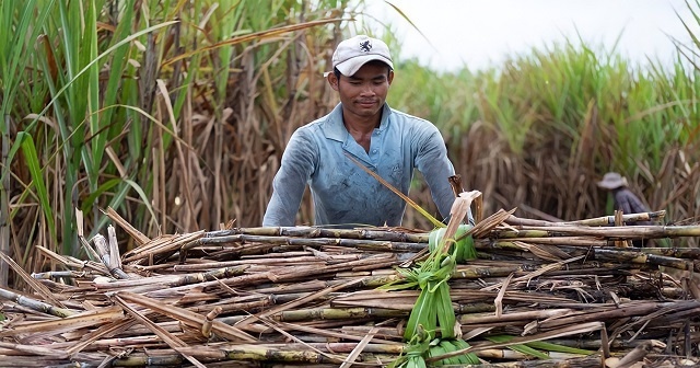 Nhờ phát triển sản phẩm thế mạnh, nông thôn mới tỉnh Đắk Lắk đã có nhiều chuyển biến tích cực.