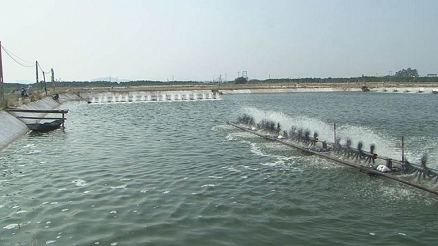 Để đạt được mục tiêu xóa đói, giảm nghèo, tỉnh Thanh Hóa đã đẩy mạnh phát triển thủy sản ở các xã bãi ngang ven biển.