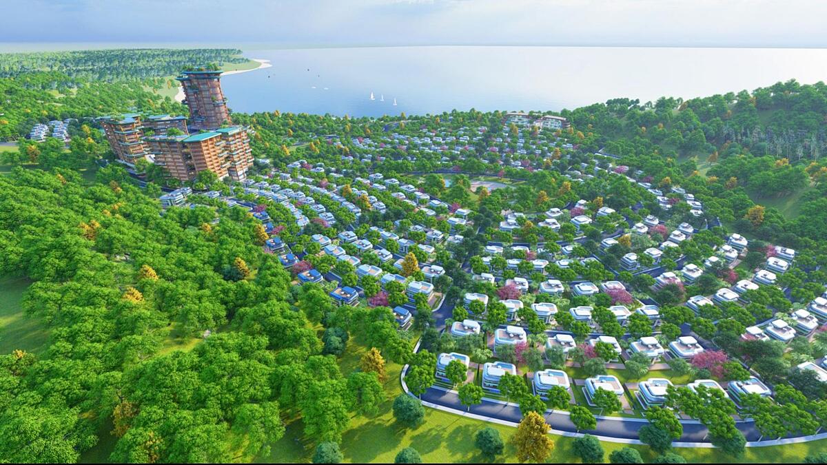 Sắc xanh của thiên nhiên bao phủ tiểu dự án Sunshine Forest Hotels & Resorts.