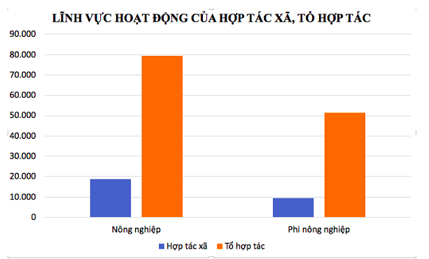 Hợp tác xã và tổ hợp tác nông nghiệp chiếm tỷ lệ đa số.