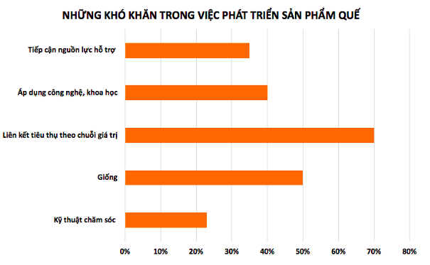 Liên kết tiêu thụ là khó khăn nhất trong việc phát triển sản phẩm quế.