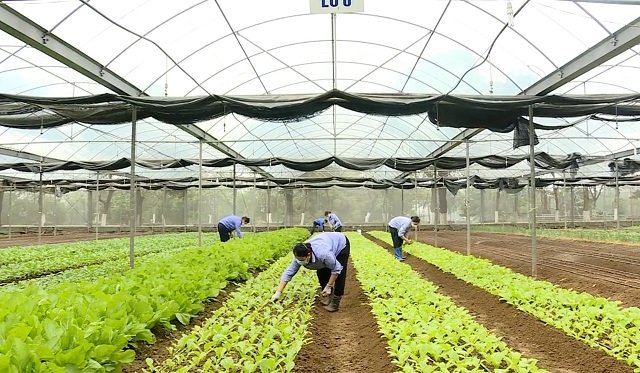 Công cuộc xây dựng NTM thực sự là một cuộc “đổi đời” của mỗi làng quê, mỗi người dân tỉnh Ninh Bình.