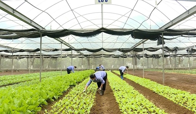 Công cuộc xây dựng NTM thực sự là một cuộc “đổi đời” của mỗi làng quê, mỗi người dân tỉnh Ninh Bình.