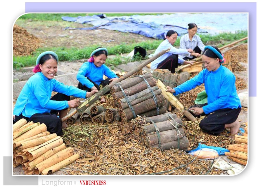 Đồng bào Sán Chỉ ở Quảng Ninh liên kết làm kinh tế.