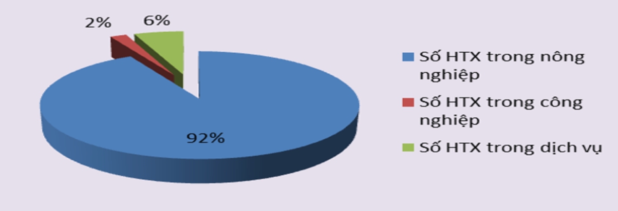 Cơ cấu HTX theo ngành của tín đồ Tin Lành vùng đồng bào DTTS