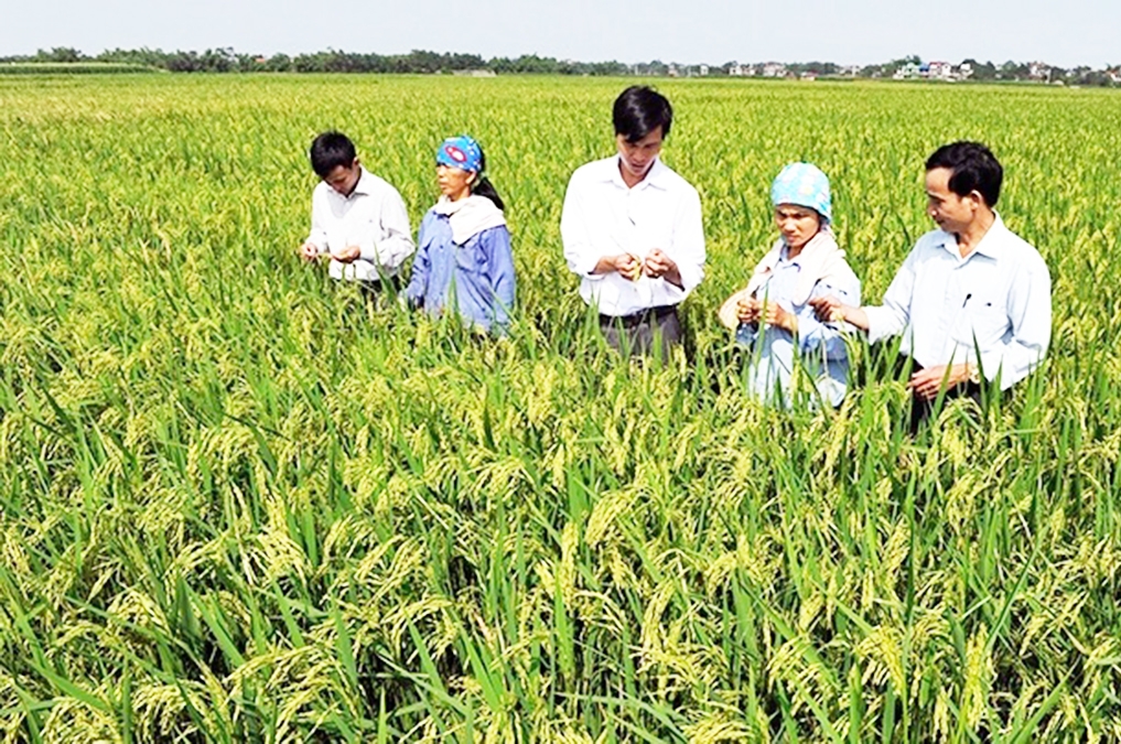 Dạy nghề giúp nông dân nắm vững kiến thức, tự tin sản xuất làm giàu.