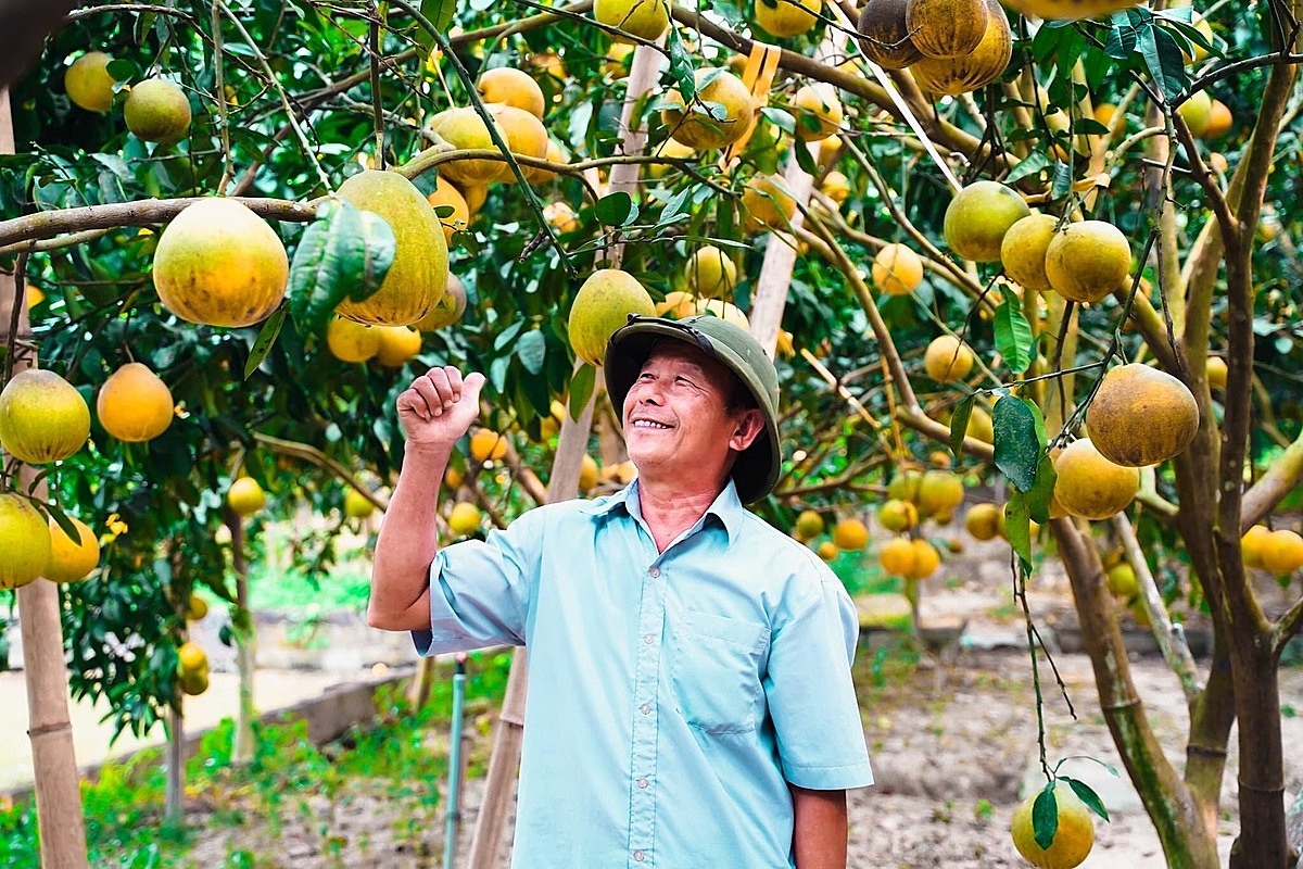 Cây ăn quả trở thành mũi nhọn kinh tế ở Hưng Thịnh.