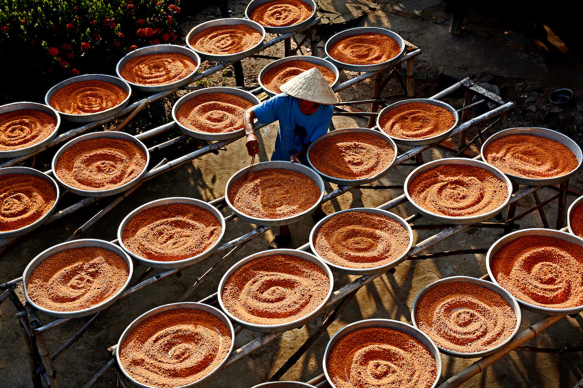 Phơi muối tôm đặc sản ở Tây Ninh.