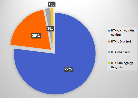 Các loại hình HTX nông nghiệp ở Quảng Trị.