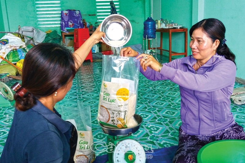 Các thành viên HTX Dịch vụ sản xuất lúa - tôm Trí Lực chuẩn bị gạo bán ra thị trường. (Ảnh: Int)