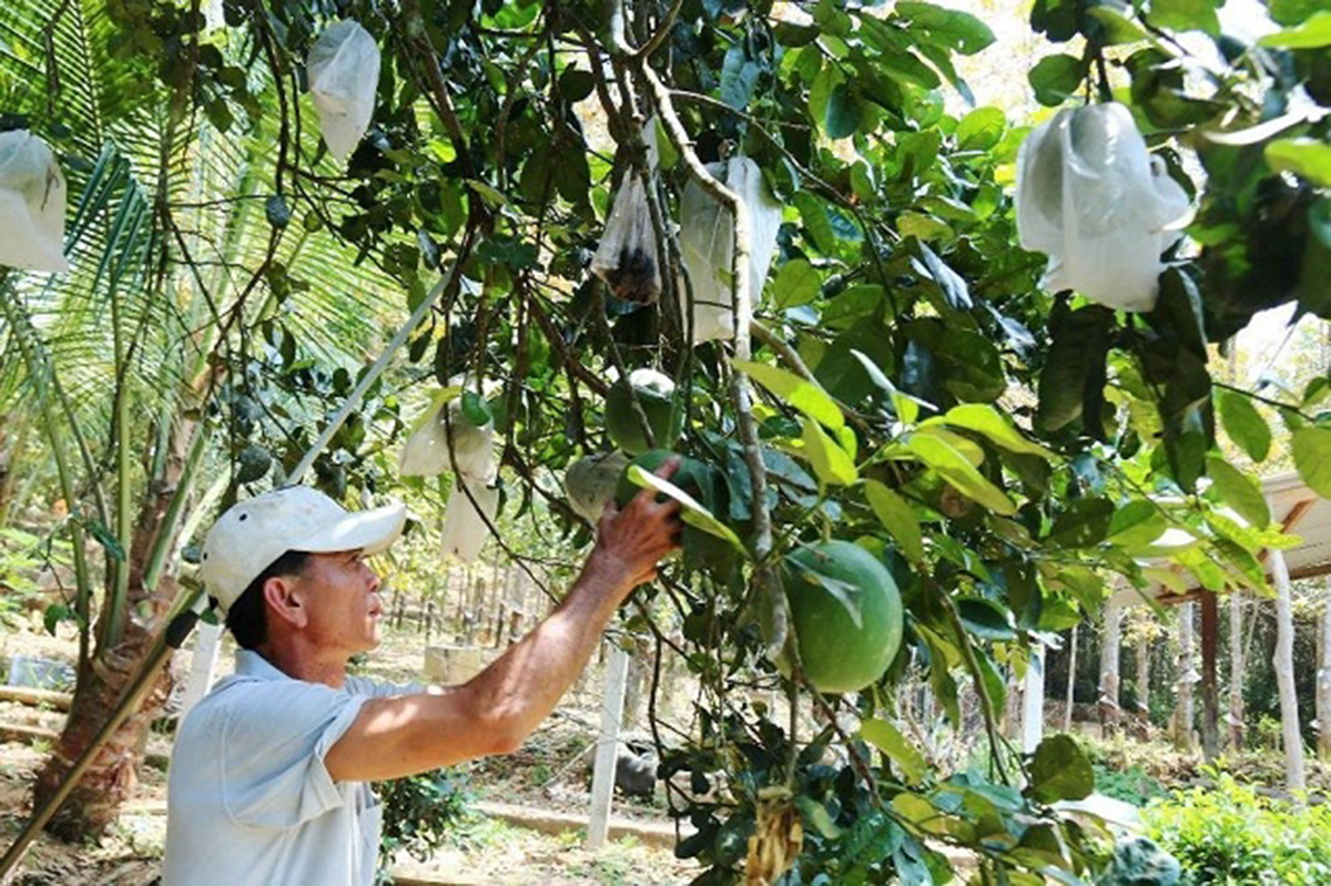 Đào tạo nghề là giải pháp quan trọng để các địa phương tạo việc làm, nâng cao thu nhập cho lao động nông thôn.