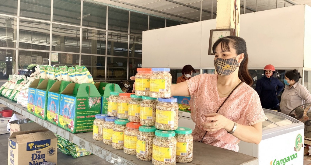 Vẫn còn số lượng lớn người lao động, thành viên HTX chưa tham gia bảo hiểm xã hội.