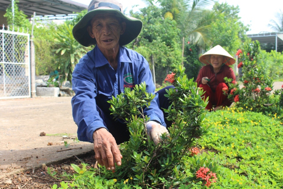 Nông nghiệp, nông thôn huyện Xuân Lộc ngày càng đổi mới theo hướng nâng cao, bền vững.