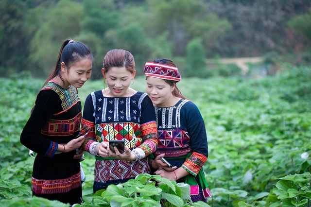 Nhiều trí thức trẻ đã nhân rộng các mô hình HTX hoạt động có hiệu quả, giúp xóa đói, giảm nghèo cho người dân địa phương