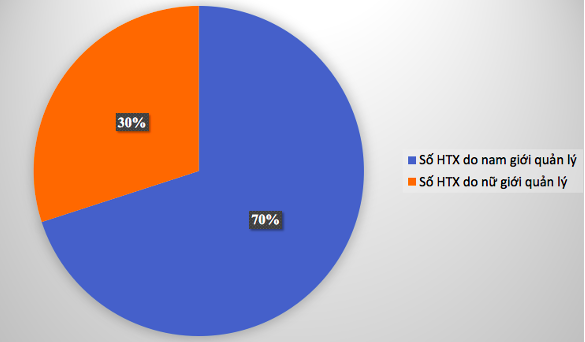 Tỷ lệ nam giới đảm nhiệm quản lý của các HTX ở Bắc Kạn vẫn chiếm lệ cao.