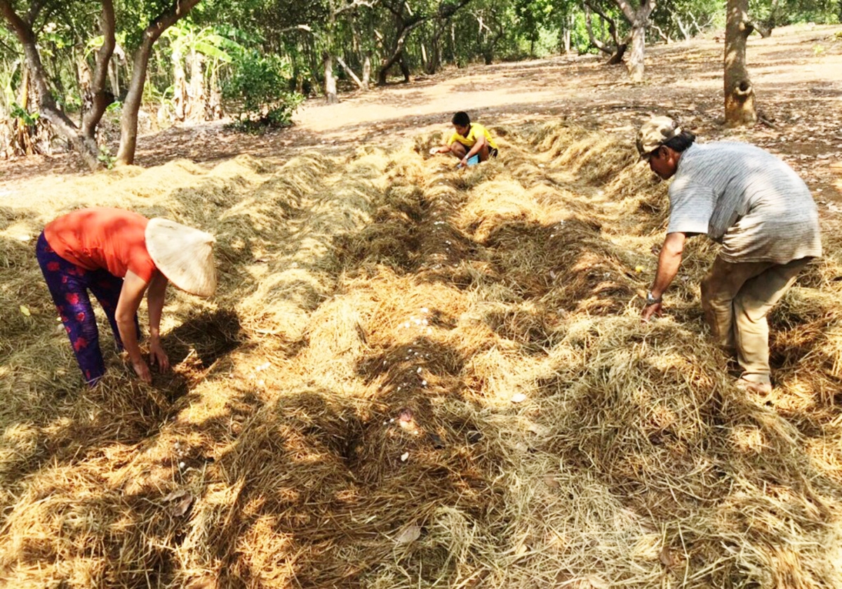 Dạy nghề gắn với chuyển đổi cơ cấu nông nghiệp là hướng đi hiệu quả.