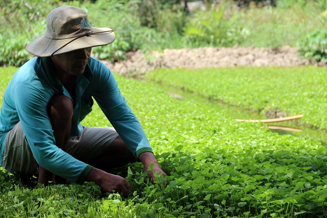 HTX phát huy vai trò tương trợ lẫn nhau giữa thành viên HTX và giữa HTX với cộng đồng.