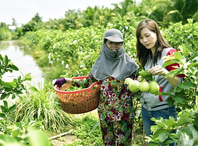 Các dịch vụ đầu vào của HTX đã giúp nhiều thành viên vươn lên làm giàu, giảm nghèo bền vững.