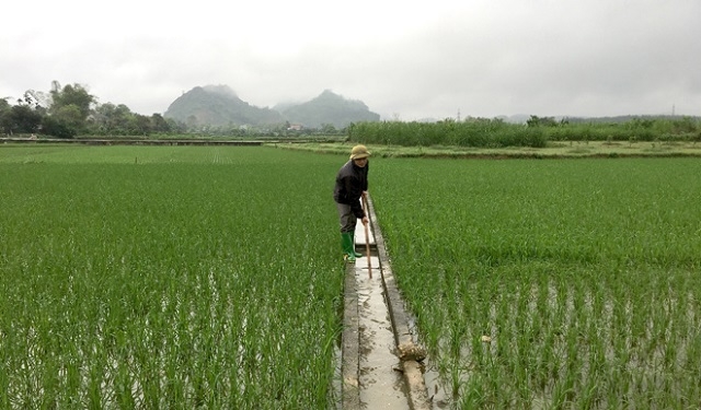 Phát triển các HTX gắn với xây dựng thủy lợi nhỏ, thủy lợi nội đồng góp phần nâng cao đời sống người dân.