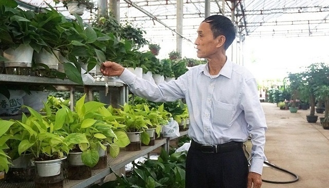 HTX đã thể hiện vai trò thực hiện tiêu chí tổ chức sản xuất, góp phần cùng địa phương hoàn thành chương trình xây dựng NTM.