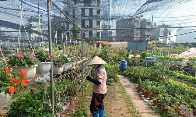 Đến nay Xuân Quan đã hoàn thành các tiêu chí xây dựng NTM nâng cao và tiến tới NTM kiểu mẫu.