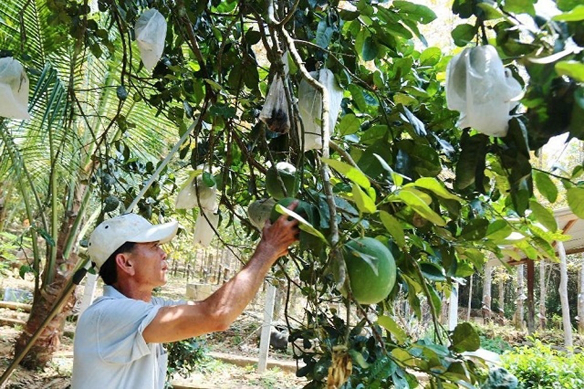 Các địa phương đang chú trọng công tác dạy nghề gắn với tạo việc làm ngay sau đào tạo.