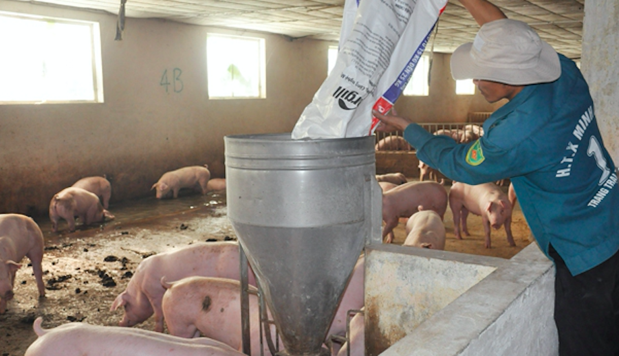 gười lao động của HTX Minh Lộc được đóng BHXH.