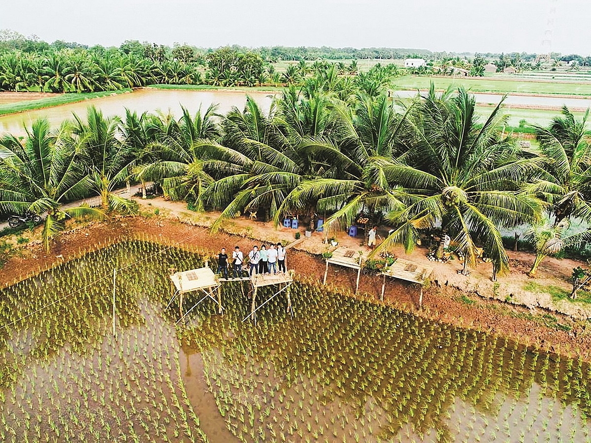 Phát triển du lịch cộng đồng đang giúp Hòa Minh thúc đẩy nông thôn mới nâng cao.