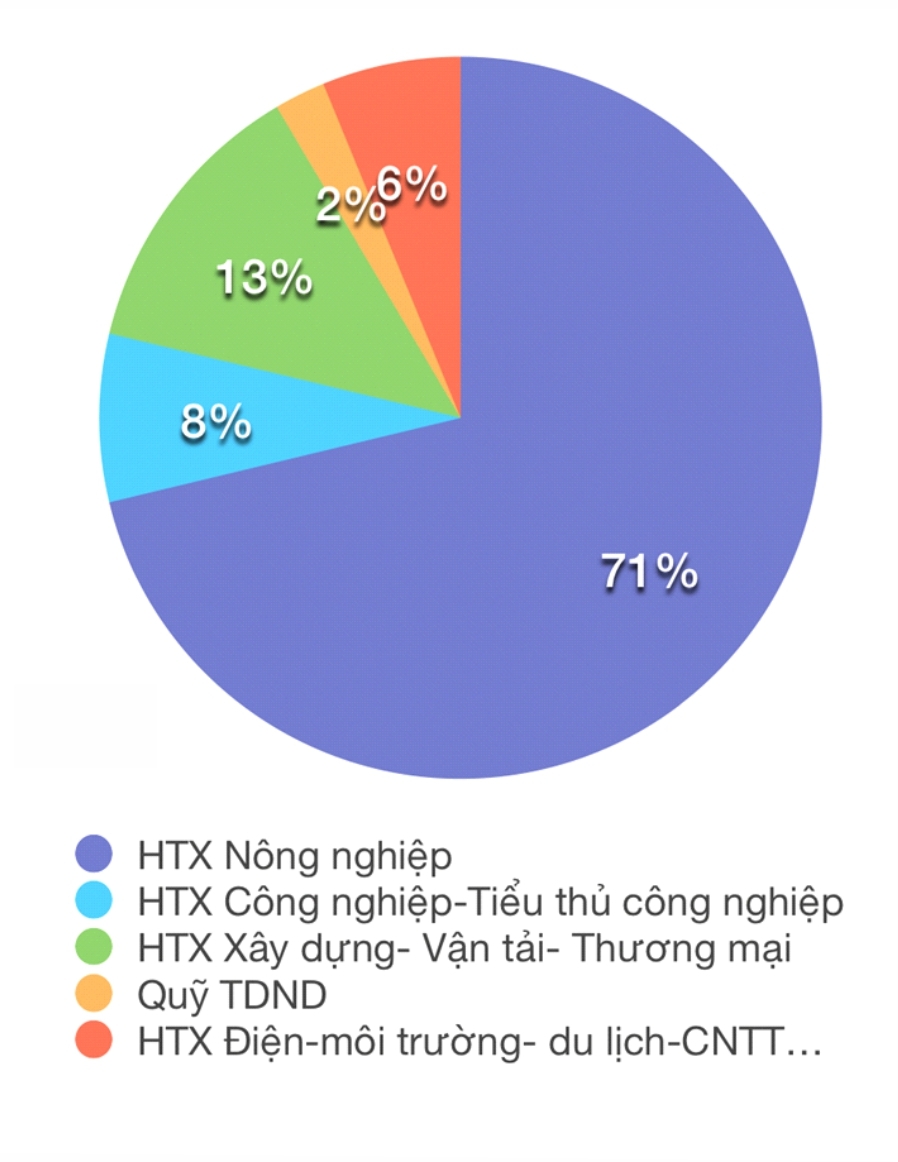 Biểu đồ cơ cấu các ngành nghề trong khu vực KTTT, HTX tại Thừa Thiên Huế