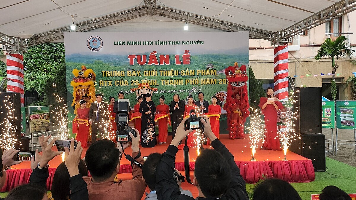 Trong khuôn khổ Hội nghị phát triển KTXH vùng đồng bào dân tộc thiểu số và miền núi, xúc tiến thương mại cho khu vực kinh tế tập thể, HTX đã diễn ra lễ khai mạc “Tuần lễ Trưng bày, giới thiệu sản phẩm của các HTX thuộc 28 tỉnh, thành phố năm 2022”.