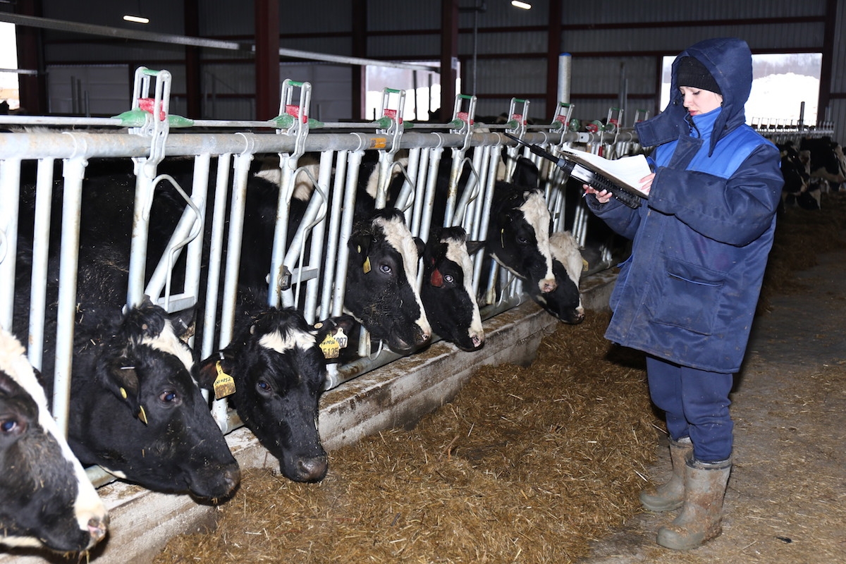 Việt Nam đã đầu tư 24 dự án sang khu vực Á - Âu với tổng vốn đăng ký 1,65 tỷ USD.