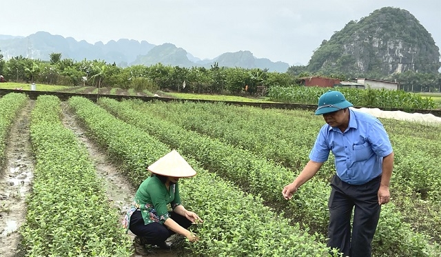 NTM trên địa bàn tỉnh Ninh Bình đã góp phần tăng sự hài lòng cuộc sống của cư dân nông thôn.