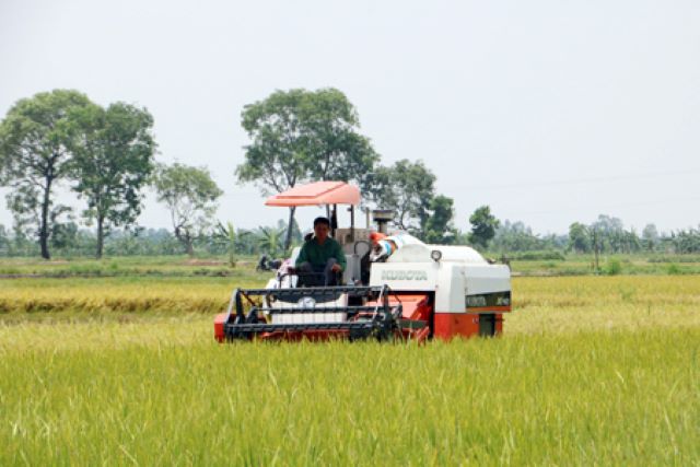 Hỗ trợ người dân phát triển sản xuất để giảm nhanh tỷ lệ hộ nghèo (Ảnh: Int)