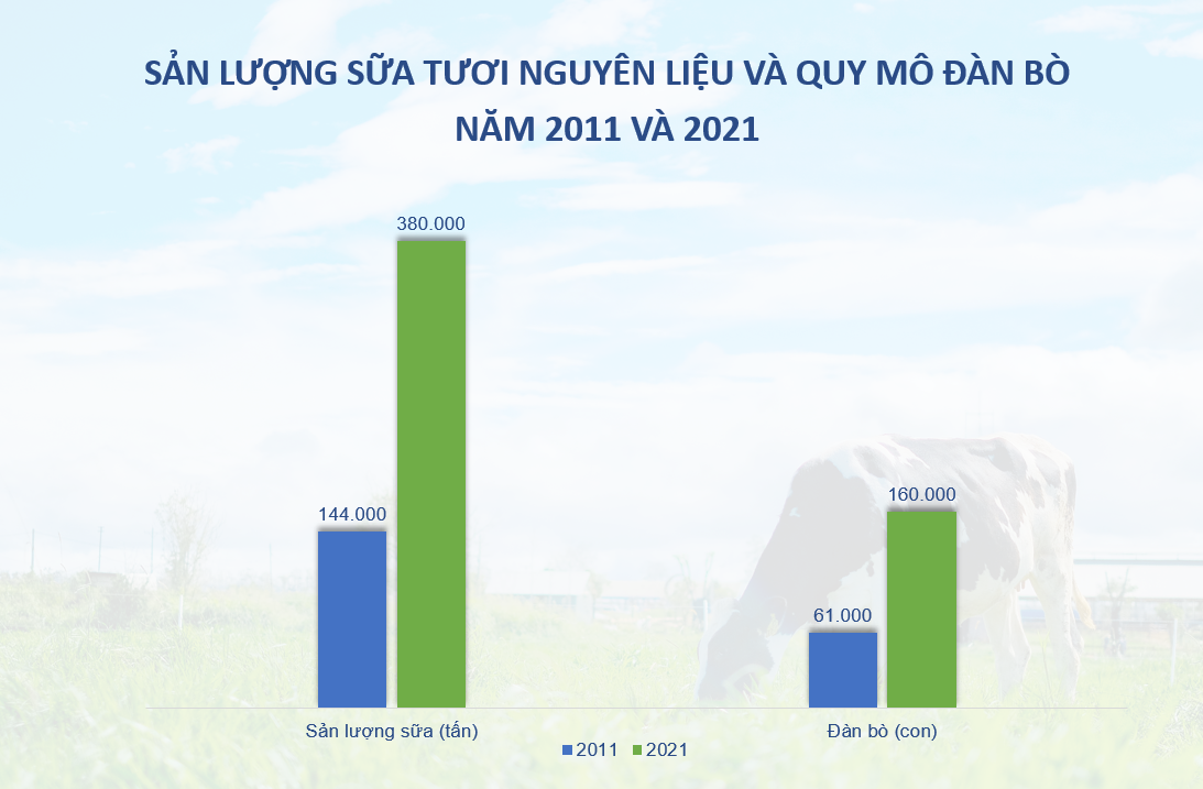 Sản lượng sữa tươi nguyên liệu và quy mô đàn bò năm 2011 và 2021.