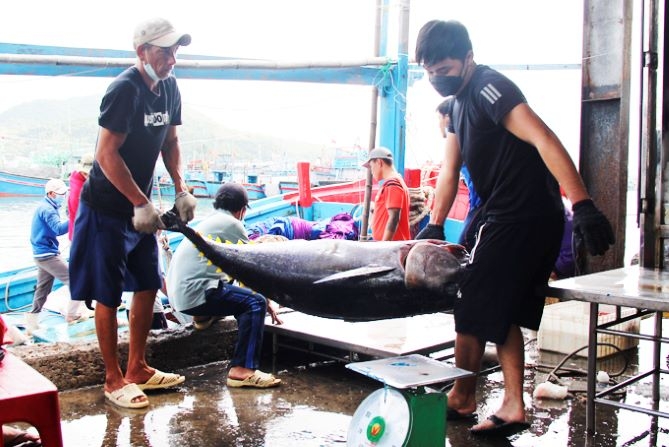 Nâng tầm giá trị, phát huy thế mạnh sản phẩm OCOP, góp phần tích cực vào chương trình xây dựng nông thôn mới.