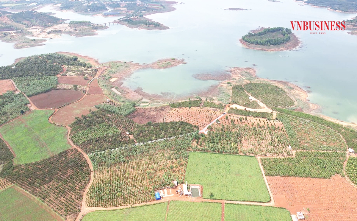 Cần siết chặt quy định về đấu giá đất để ngăn chặn những rủi ro gây nhiễu loạn thị trường.