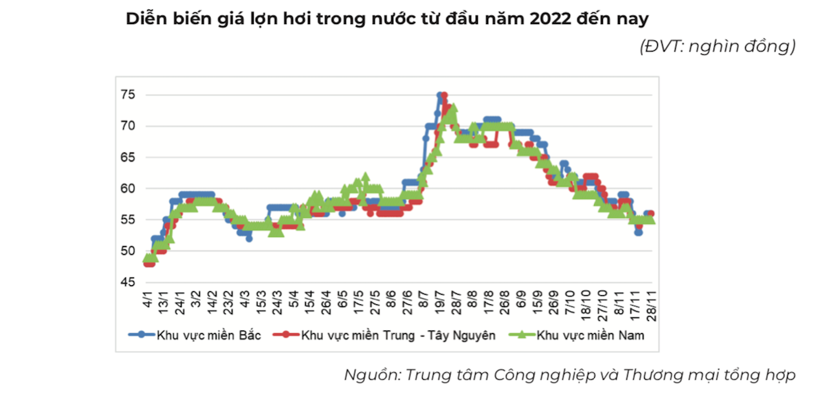 Giá heo hơi đang ở mức thấp, dưới mốc 60.000 đồng/kg.