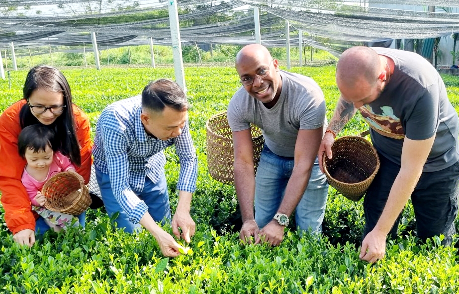 Chính sách hỗ trợ cần rõ ràng, thiết thực để các HTX du lịch có thể tiếp cận thuận lợi hơn.