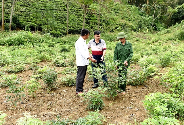 Các HTX đã đẩy mạnh ứng dụng khoa học kỹ thuật vào sản xuất, tăng thu nhập cho người dân.