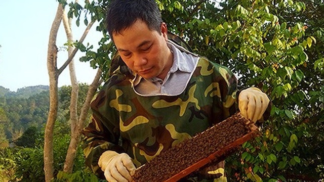 Các HTX đóng vai trò tiên phong trong việc hình thành các mối liên kết sản xuất - tiêu thụ sản phẩm.