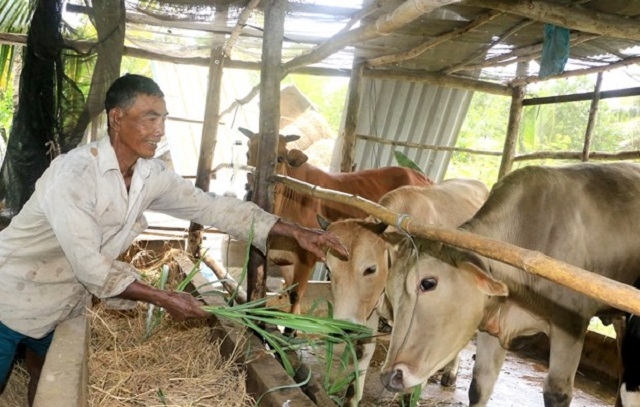 Các HTX đã đóng góp tích cực vào công cuộc xóa đói giảm nghèo tại địa phương.