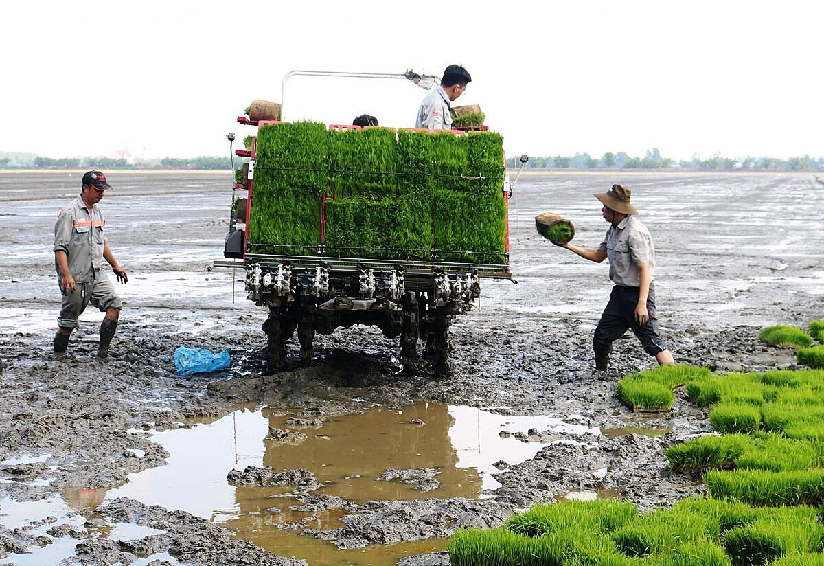 Nhiều chính sách hỗ trợ HTX vẫn chưa thể đi sâu vào thực tiễn.