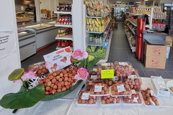 Chế biến sâu và xuất khẩu trực tiếp sẽ nâng cao giá trị quả vải thiều của HTX và giải quyết được vấn đề mùa vụ trong xuất khẩu.