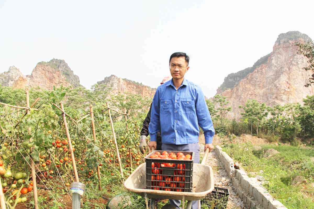 Giám đốc HTX Nguyễn Mạnh Tiến trên trang trại nông nghiệp hữu cơ.