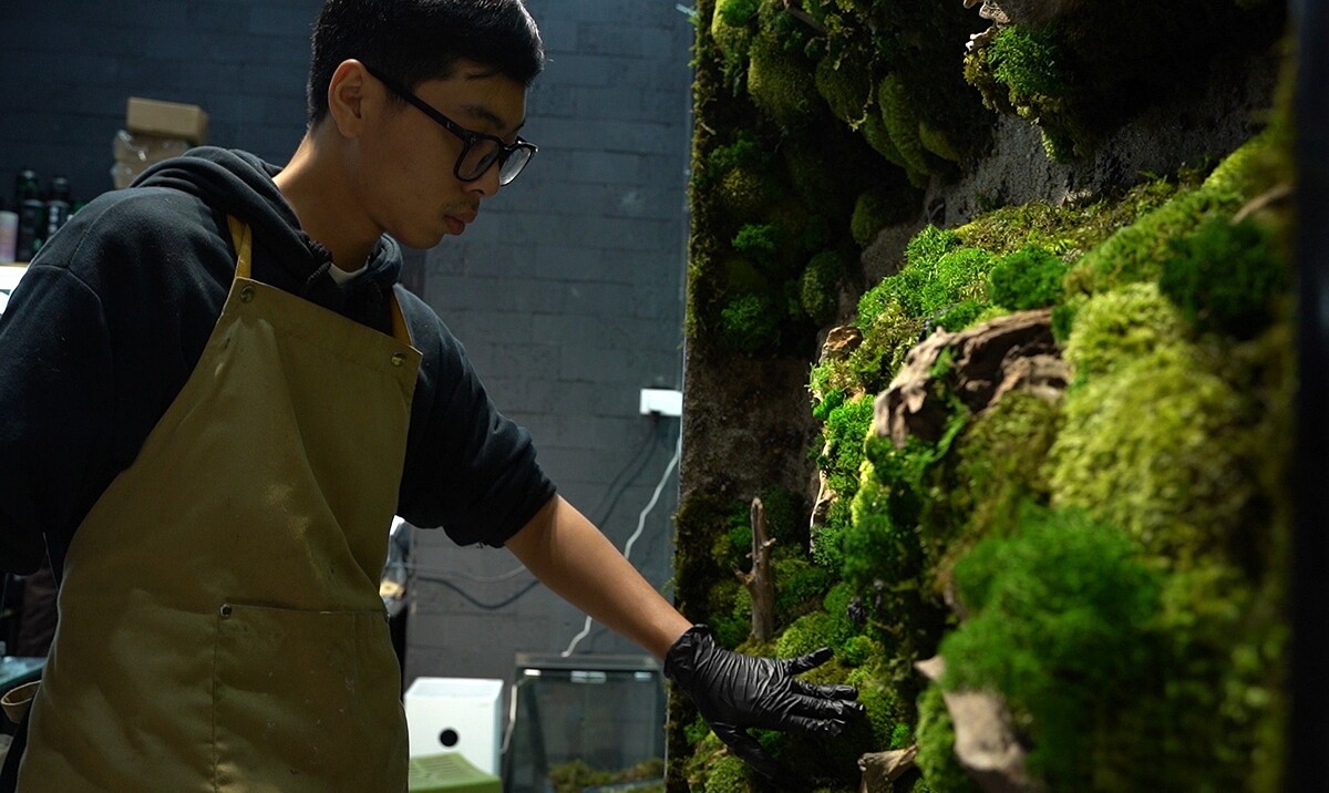 Tuấn Anh tỉ mỉ làm bức tranh từ bảo tồn kết hợp đặt trầm hương.