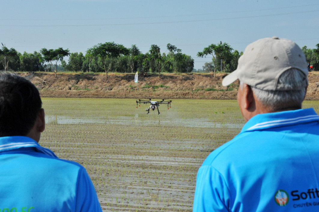 Cánh đồng không dấu chân mang lại bước đi hiệu quả cho người nông dân.