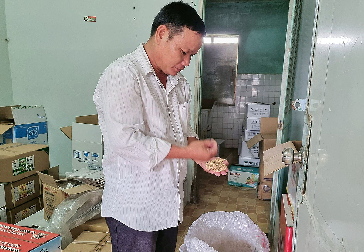 Người giữ lửa cho HTX hàng ngày cần mẫn tìm hướng nâng giá trị của hạt lúa gạo.