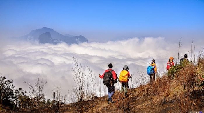 Nhóm bạn đến từ Hà Nội thích thú đi săn mây tại Y Tý