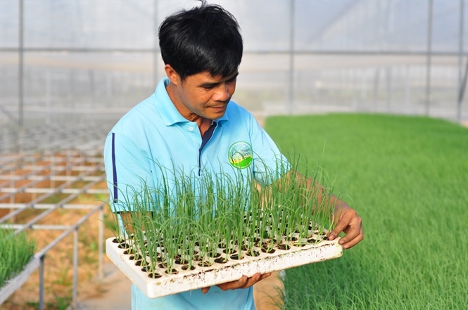 HTX gặp khó trong sản xuất nông nghiệp hữu cơ vì không biết lựa chọn phân bón, thuốc bảo vệ thực vật như thế nào.