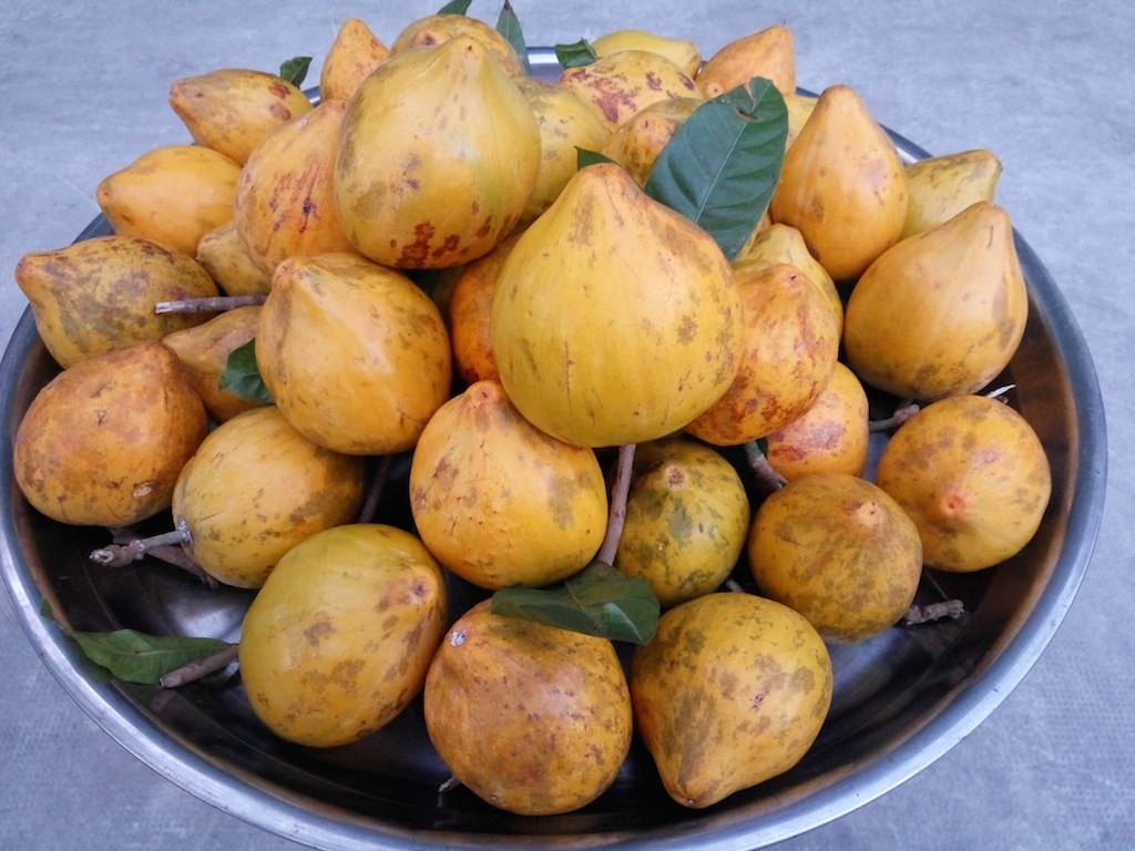 Vào dịp Tết Nguyên đán, nhiều người còn mua quả Lêkima về để trang trí lên ban thờ cho đẹp mắt.